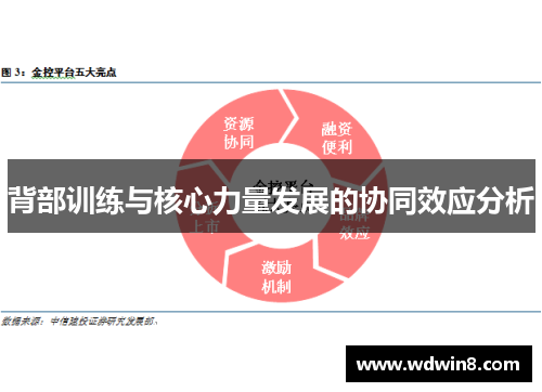 背部训练与核心力量发展的协同效应分析